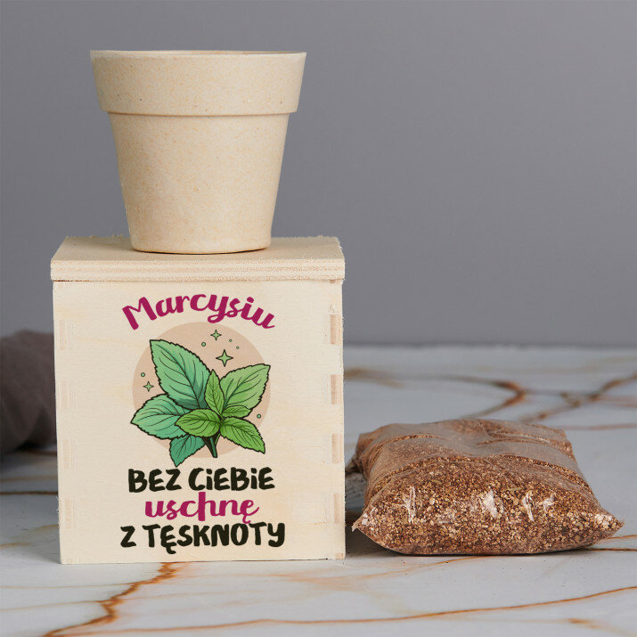 Bez ciebie uschnę z tęsknoty - Zestaw do uprawy mięty