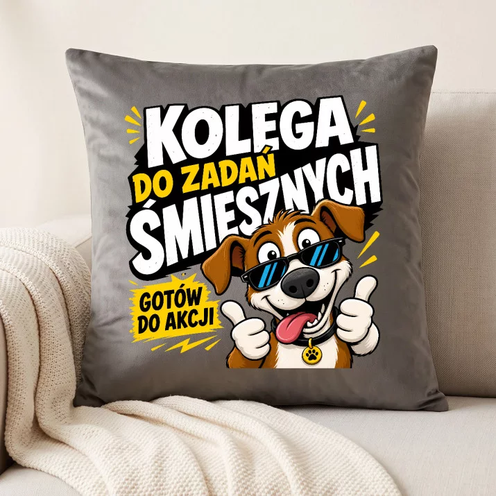 Poduszka Dekoracyjna Dla Kolegi Prezent Dla Mężczyzny: Kolega Do Zadań Śmiesznych Poduszka Dekoracyjna Dla Kolegi Prezent Dla Mężczyzny: Kolega Do Zadań Śmiesznych