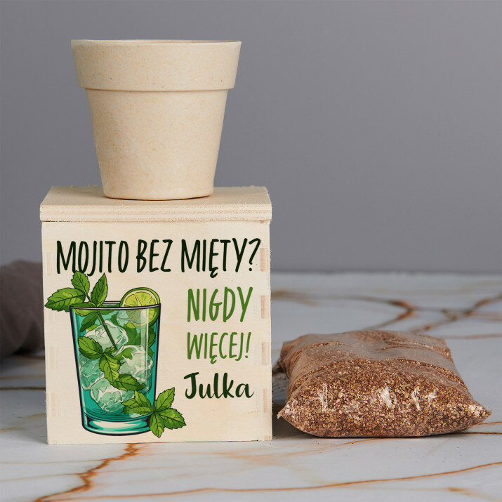 Mojito bez mięty - Zestaw do uprawy mięty