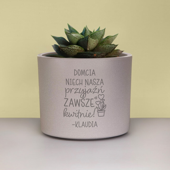 Niech nasza przyjaźń zawsze kwitnie - Osłonka na doniczkę