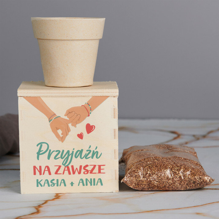 Przyjaźń na zawsze - Zestaw do uprawy mięty