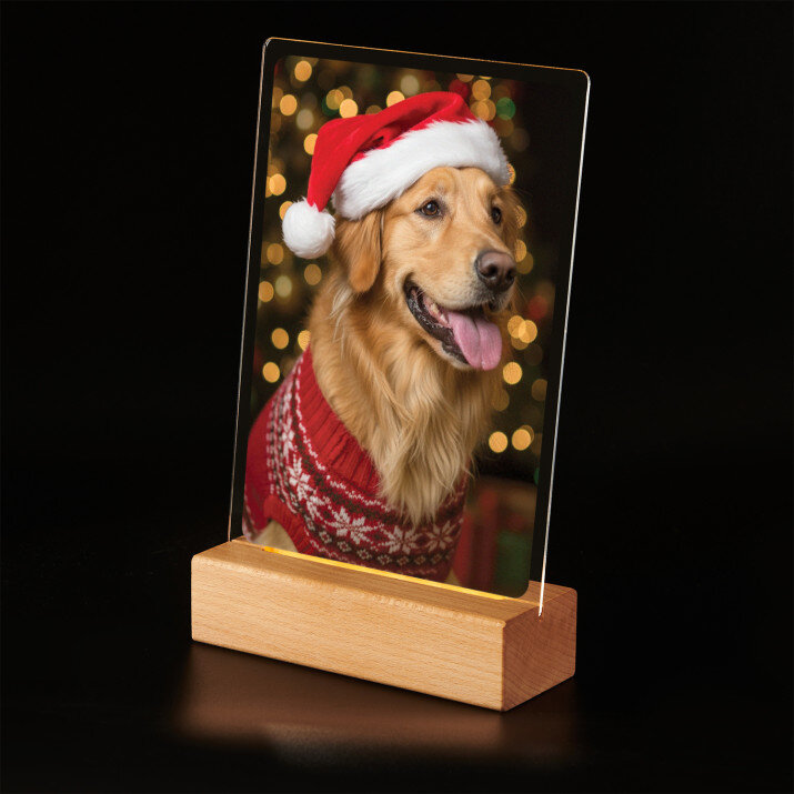 Świąteczny zwierzak - Wydruk na szkle akrylowym z podstawką led
