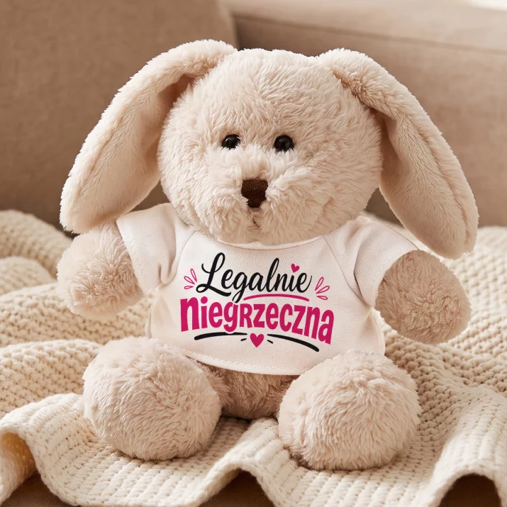 Pluszak Maskotka Dla 21 Latki Prezent Na 20 Urodziny Dla Kobiety: Ironia Dorosłości