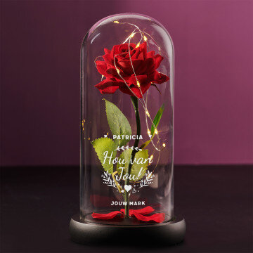hou van jou 2 - Euwige roos in glas