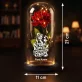 Wieczna Róża LED Na Dzień Nauczyciela Prezent Dla Nauczyciela Kobiety: Kreda, Kawa, Kontrolowany Wieczna Róża LED Na Dzień Nauczyciela Prezent Dla Nauczyciela Kobiety: Kreda, Kawa, Kontrolowany