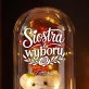 Wieczna Róża z Misiem Dla Przyjaciółki Prezent Dla Kobiety: Siostrzana Więź