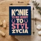 Czekoladki Dla Koniary Prezent Dla Kobiety: Konie To Styl Życia Czekoladki Dla Koniary Prezent Dla Kobiety: Konie To Styl Życia