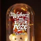 Wieczna Róża z Misiem Na Przeprosiny Prezent Dla Kobiety: Typograficzne Przeprosiny