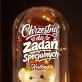 Wieczna Róża z Misiem Dla Matki Chrzestnej Prezent Dla Kobiety: Chrzestna Do Zadań