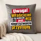 Poduszka Dekoracyjna Dla Partnera Prezent Na Walentynki Dla Mężczyzny: Uwaga! Właściciel