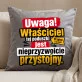 Poduszka Dekoracyjna Dla Partnera Prezent Na Walentynki Dla Mężczyzny: Uwaga! Właściciel