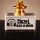 Statuetka Z Grawerem Dla Muzyka Prezent Dla Mężczyzny: Ciszej, Gram W Głowie