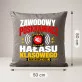Poduszka Dekoracyjna Na Dzień Nauczyciela Prezent Dla Nauczyciela Mężczyzny: Zawodowy Poskramiacz