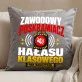 Poduszka Dekoracyjna Na Dzień Nauczyciela Prezent Dla Nauczyciela Mężczyzny: Zawodowy Poskramiacz
