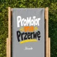 Leżak Z Nadrukiem Dla Promotora Prezent Dla Mężczyzny: Promotor Ma Przerwę