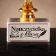 Statuetka Z Grawerem Na Dzień Nauczyciela Prezent Dla Nauczyciela Kobiety: Nauczycielka Z Klasą