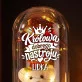 Wieczna Róża z Misiem Dla Dziewczyny Prezent Na Dzień Dziewczyny Dla Kobiety: Królowa Dobrego Nastroju