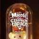 Wieczna Róża z Misiem Dla Psiary Prezent Dla Kobiety: Pieskie Królestwo