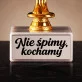 Statuetka Z Grawerem Dla Świeżo Upieczonych Rodziców Prezent Dla Pary: Nie Śpimy, Kochamy