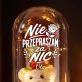 Wieczna Róża z Misiem Na 80 Urodziny Prezent Dla 80 Latki Kobiety: Manifest Dojrzałej Siły