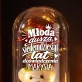 Wieczna Róża z Misiem Na 70 Urodziny Prezent Dla 70 Latki Kobiety: Młoda Dusza