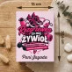 Praliny z Belgijskiej Czekolady Dla Nauczycielki Wf Prezent Na Dzień Nauczyciela Dla Kobiety: Rozgrzewka To Mój Żywioł Praliny z Belgijskiej Czekolady Dla Nauczycielki Wf Prezent Na Dzień Nauczyciela Dla Kobiety: Rozgrzewka To Mój Żywioł