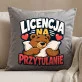 Poduszka Dekoracyjna Na Dzień Chłopaka Prezent Dla Chłopaka Mężczyzny: Licencja Na Przytulanie