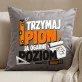 Poduszka Dekoracyjna Dla Architekta Prezent Dla Mężczyzny: Trzymaj Pion, Ja Ogarnę Poziom Poduszka Dekoracyjna Dla Architekta Prezent Dla Mężczyzny: Trzymaj Pion, Ja Ogarnę Poziom