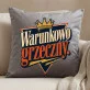 Poduszka Dekoracyjna Na Mikołajki Prezent Dla Mężczyzny: Warunkowo Grzeczny. Poduszka Dekoracyjna Na Mikołajki Prezent Dla Mężczyzny: Warunkowo Grzeczny.