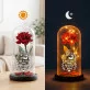 Wieczna Róża W Szkle Dla Kuzynki Prezent Dla Kobiety: Zawsze Jesteś Wieczna Róża W Szkle Dla Kuzynki Prezent Dla Kobiety: Zawsze Jesteś