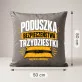 Poduszka Dekoracyjna Na 30 Prezent Na 30 Urodziny Dla Mężczyzny: Poduszka Poduszka Dekoracyjna Na 30 Prezent Na 30 Urodziny Dla Mężczyzny: Poduszka