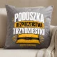 Poduszka Dekoracyjna Na 30 Prezent Na 30 Urodziny Dla Mężczyzny: Poduszka Poduszka Dekoracyjna Na 30 Prezent Na 30 Urodziny Dla Mężczyzny: Poduszka