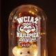 Wieczna Róża z Misiem Na Rocznicę Prezent Na Walentynki Dla Kobiety: Wciąż Moja Najlepsza