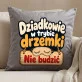 Poduszka Dekoracyjna Dla Dziadków Prezent Na Dzień Babci i Dziadka Dla Pary: Dziadkowie W Trybie Poduszka Dekoracyjna Dla Dziadków Prezent Na Dzień Babci i Dziadka Dla Pary: Dziadkowie W Trybie
