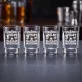 Kieliszki Do Wódki Dla Emeryta Prezent Na Emeryturę Dla Mężczyzny: Sarkastyczna Emerytura