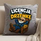 Poduszka Dekoracyjna Dla Starszego Pana Prezent Dla Mężczyzny: Licencja Na Drzemkę Poduszka Dekoracyjna Dla Starszego Pana Prezent Dla Mężczyzny: Licencja Na Drzemkę