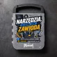Zestaw Narzędzi Dla Informatyka Prezent Dla Mężczyzny: Warsztat Programisty Zestaw Narzędzi Dla Informatyka Prezent Dla Mężczyzny: Warsztat Programisty