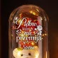 Wieczna Róża z Misiem Dla Emerytki Prezent Na Emeryturę Dla Kobiety: Ponadczasowa Róża