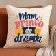Poduszka Dekoracyjna Dla Koleżanki Prezent Dla Kobiety: Ciepła Drzemka Koleżanki Poduszka Dekoracyjna Dla Koleżanki Prezent Dla Kobiety: Ciepła Drzemka Koleżanki