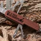 Scyzoryk Z Grawerem Dla Ogrodnika Prezent Dla Mężczyzny: Z Pasją Do Ogrodu Scyzoryk Z Grawerem Dla Ogrodnika Prezent Dla Mężczyzny: Z Pasją Do Ogrodu