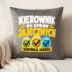 Poduszka Dekoracyjna Na Wielkanoc Prezent Dla Mężczyzny: Kierownik Do Spraw Jajecznych Poduszka Dekoracyjna Na Wielkanoc Prezent Dla Mężczyzny: Kierownik Do Spraw Jajecznych