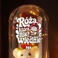 Wieczna Róża z Misiem Dla Siostry Zakonnej Prezent Dla Kobiety: Róża Kontemplacji