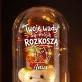 Wieczna Róża z Misiem Dla Ukochanej Prezent Na Walentynki Dla Kobiety: Twoje Wady Są Moją