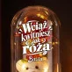 Wieczna Róża z Misiem Na 80 Urodziny Prezent Dla 80 Latki Kobiety: Różana Elegancja