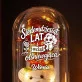 Wieczna Róża z Misiem Na 70 Urodziny Prezent Dla 70 Latki Kobiety: Różana Elegancja