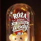 Wieczna Róża z Misiem Dla Niej Prezent Na Walentynki Dla Kobiety: Wieczna Miłość