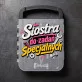 Zestaw Narzędzi Dla Siostry Prezent Dla Kobiety: Siostra Majsterka