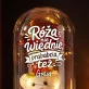 Wieczna Róża z Misiem Dla Prababci Prezent Na Dzień Babci Dla Kobiety: Róża Nie Więdnie